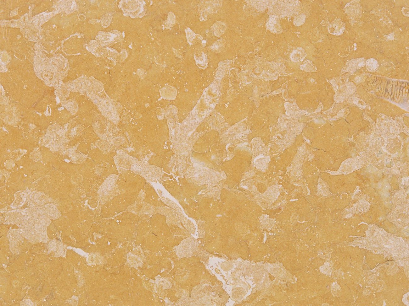 Amarelo de Negrais – Portugal
